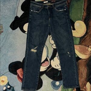 Pilcro Slim Boyfriend Jeans size 28 Ripped Distressed